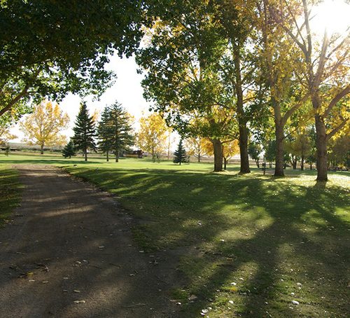 Bassano Golf Club