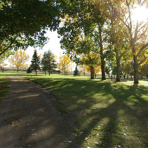 Read more about the article Bassano Golf Club