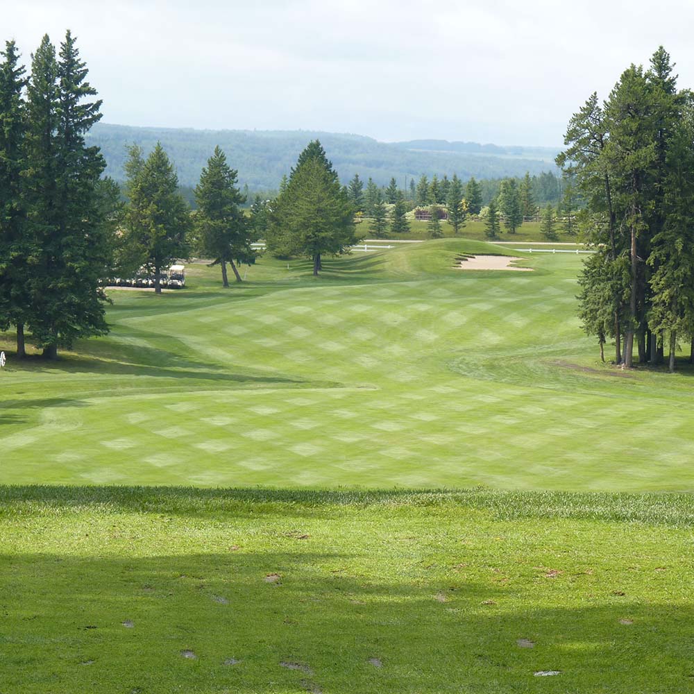 Read more about the article Dorchester Ranch Golf Course
