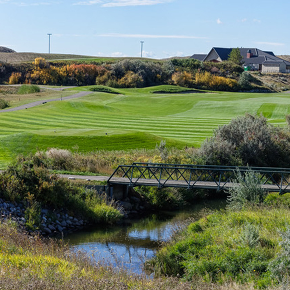 Read more about the article Desert Blume Golf Club